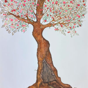 Apple, Apples berry, wet, moist, dew, drop, vine, fruit, tree, feminine form, feminine