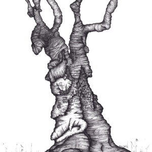 Pen & ink, nature, tree, fantasy, face, ent, spirit, profile