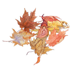 Autumn leaves, fall, turning leaves, warm, colors, natural, face, Gnome, Fairy, flying