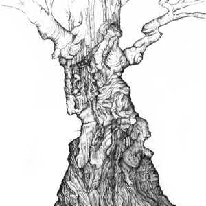Pen & ink, nature, tree, fantasy, face, ent, spirit, wise, profile