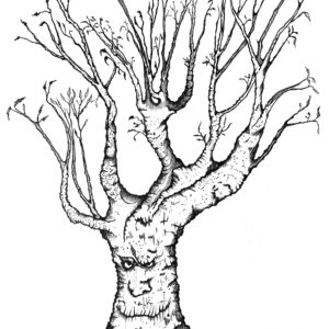 Pen & ink, nature, tree, fantasy, face, ent, spirit